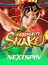 Nextspin 04